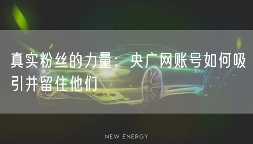 真实粉丝的力量：央广网账号如何吸引并留住他们