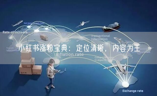 小红书涨粉宝典：定位清晰，内容为王