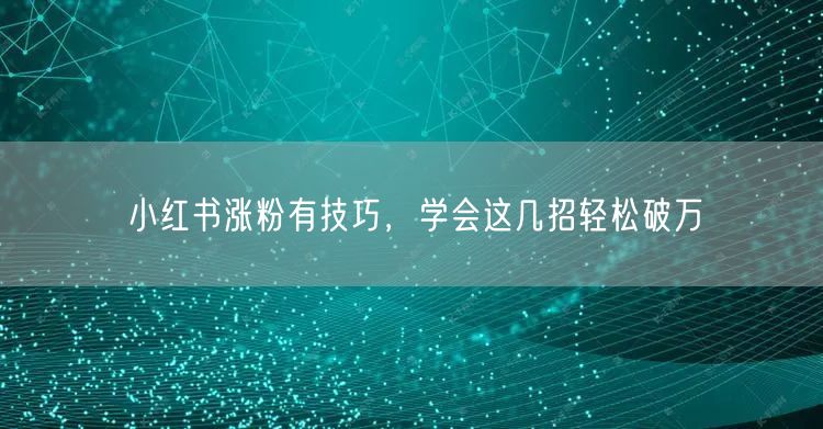 小红书涨粉有技巧，学会这几招轻松破万