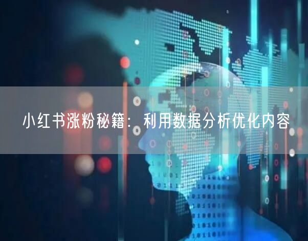 小红书涨粉秘籍：利用数据分析优化内容