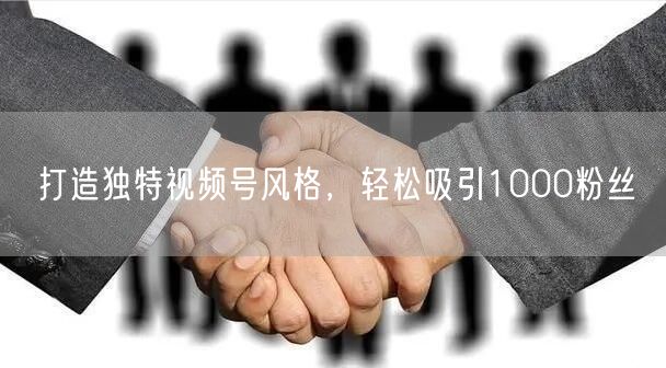 打造独特视频号风格，轻松吸引1000粉丝
