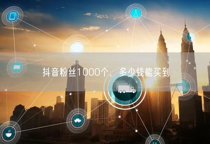 抖音粉丝1000个，多少钱能买到