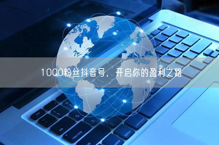 1000粉丝抖音号，开启你的盈利之路