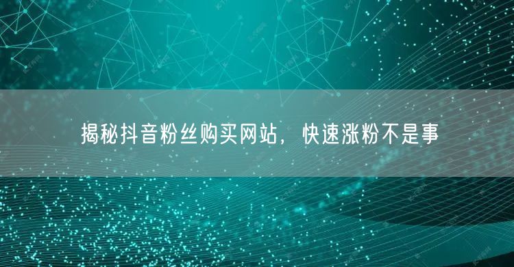 揭秘抖音粉丝购买网站，快速涨粉不是事