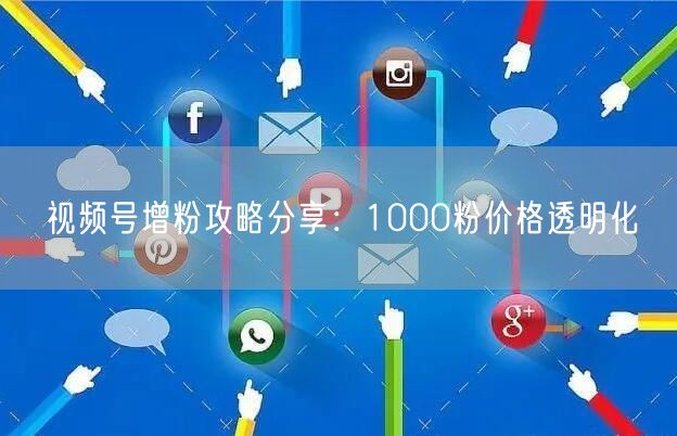 视频号增粉攻略分享：1000粉价格透明化